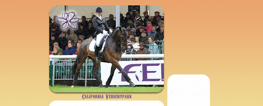 • california versenypark • [dressage style]